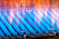 Crostwick gas fired boilers